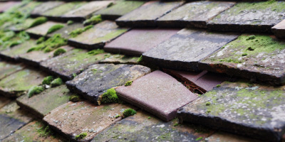 Granborough roof repair costs